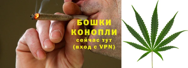 каннабис Белокуриха
