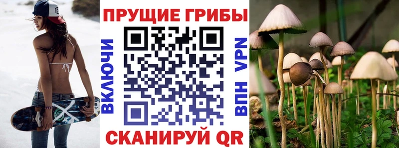 Купить где  Слободской  Псилоцибиновые грибы ЛСД 